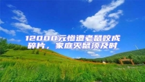 12000元慘遭老鼠咬成碎片,家庭滅鼠須及時