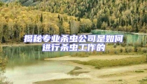 揭秘專業(yè)殺蟲公司是如何進行殺蟲工作的