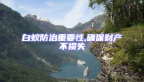 白蟻防治重要性,確保財產(chǎn)不損失