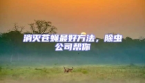消滅蒼蠅最好方法,除蟲公司幫你