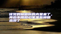 該死的蟑螂你的克星來(lái)了,再也不用擔(dān)心家里有蟑螂出沒了