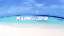 防止白蟻滅治方法