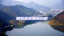 跟蹤追跡根除白蟻