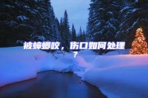 被蟑螂咬，傷口如何處理？