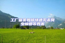 工廠宿舍如何快速滅殺臭蟲蟑螂等四害