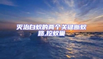 滅治白蟻的兩個關鍵斷蟻路,挖蟻巢
