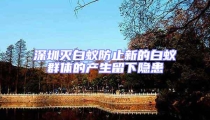 深圳滅白蟻防止新的白蟻群體的產(chǎn)生留下隱患