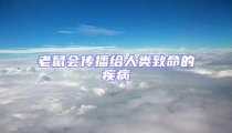 老鼠會傳播給人類致命的疾病