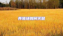 養(yǎng)殖場如何滅鼠