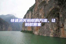 快速消滅螞蟻的方法，讓螞蟻搬家