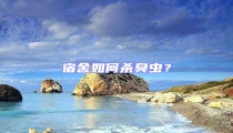宿舍如何殺臭蟲?
