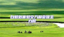 白蟻危害蛀空八和會(huì)館主力柱