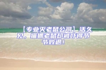 【專業(yè)滅老鼠公司】活久見，貓抓老鼠卻被嚇得節(jié)節(jié)敗退！