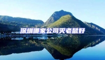 深圳哪家公司滅老鼠好