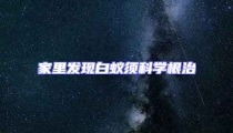 家里發現白蟻須科學根治