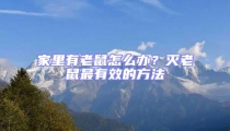 家里有老鼠怎么辦?滅老鼠最有效的方法