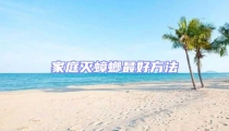 家庭滅蟑螂最好方法