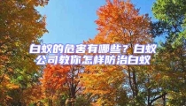 白蟻的危害有哪些？白蟻公司教你怎樣防治白蟻