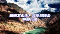蟑螂怎么殺?分享最佳殺蟑螂方法