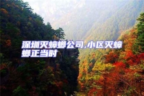 深圳滅蟑螂公司,小區滅蟑螂正當時