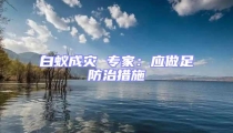 白蟻成災 專家:應做足防治措施