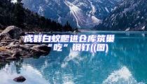 成群白蟻爬進(jìn)倉(cāng)庫(kù)筑巢“吃”鋼釘((圖)