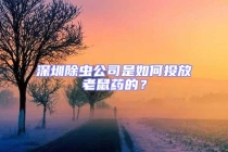 深圳除蟲公司是如何投放老鼠藥的？