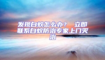 發現白蟻怎么辦? 立即聯系白蟻防治專家上門滅治