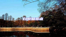 白蟻知多點