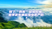 除了“四害”鼠蟑蚊蠅,夏季還有哪些蟲蟲需嚴防?