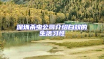 深圳殺蟲公司介紹白蟻的生活習性