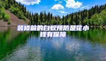 裝修前的白蟻預防是花小錢有保障