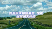 高溫雨季接踵來襲 應把握時機滅蟑螂