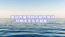 豬場(chǎng)養(yǎng)貓可以滅鼠嗎豬場(chǎng)究竟該怎么滅鼠呢?