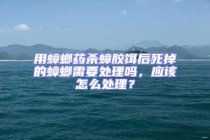 用蟑螂藥殺蟑膠餌后死掉的蟑螂需要處理嗎，應(yīng)該怎么處理？