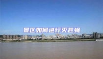 景區如何進行滅蒼蠅