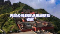 滅鼠公司教你從根源防治老鼠