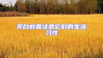 滅白蟻需注意它們的生活習(xí)性