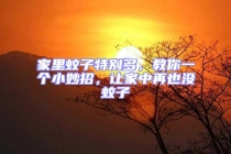 家里蚊子特別多，教你一個小妙招，讓家中再也沒蚊子