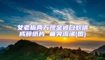 女老板兩萬現(xiàn)金被白蟻啃成碎紙片 痛哭流涕(圖)