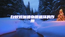 白蟻對加速物質循環的作用