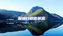 深圳白蟻危狀況
