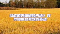 徹底消滅蟑螂的方法?對(duì)付蟑螂最有效的辦法