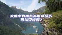 家庭中有哪些實用小技巧可以滅蟑螂?
