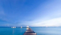 殺蟲公司工廠滅鼠實(shí)施方案