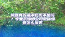 蟑螂真的殺不死滅不絕嗎?專業(yè)殺蟑螂公司教你蟑螂怎么消滅