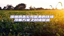 深圳消殺公司鼠患的環(huán)境改善方案之封堵鼠道