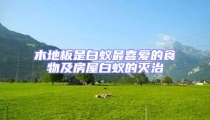 木地板是白蟻?zhàn)钕矏?ài)的食物及房屋白蟻的滅治