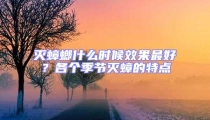 滅蟑螂什么時(shí)候效果最好?各個(gè)季節(jié)滅蟑的特點(diǎn)