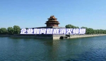 企業(yè)如何徹底消滅蟑螂